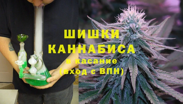 крисы Покачи