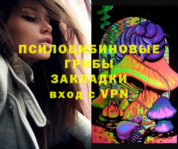 твердый Алексеевка