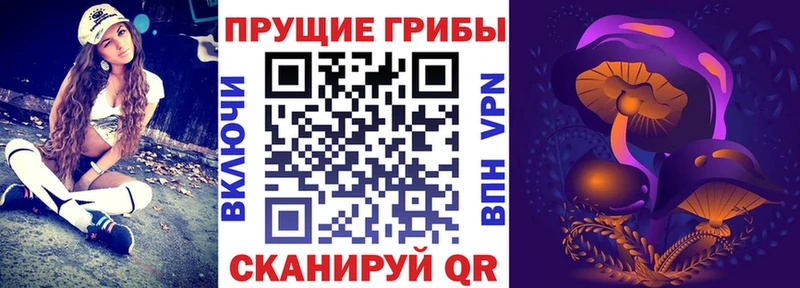 Галлюциногенные грибы ЛСД  ОМГ ОМГ рабочий сайт  Перевоз 